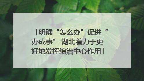 明确“怎么办”促进“办成事” 湖北着力于更好地发挥综治中心作用