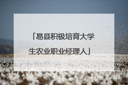 易县积极培育大学生农业职业经理人