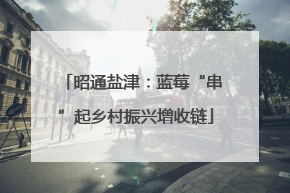 昭通盐津：蓝莓“串”起乡村振兴增收链
