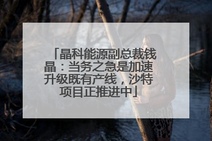 晶科能源副总裁钱晶：当务之急是加速升级既有产线，沙特项目正推进中