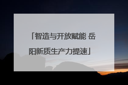 智造与开放赋能 岳阳新质生产力提速