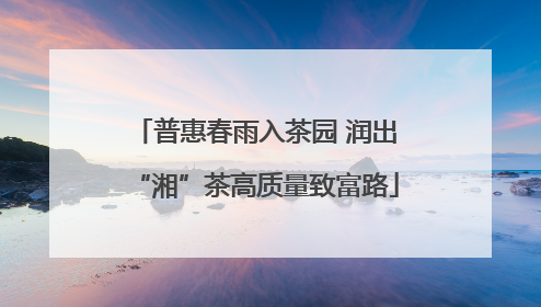 普惠春雨入茶园 润出“湘”茶高质量致富路