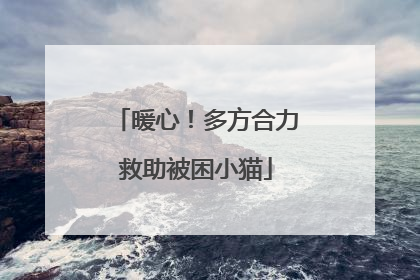 暖心！多方合力救助被困小猫