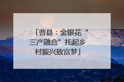 曹县：金银花“三产融合”托起乡村振兴致富梦