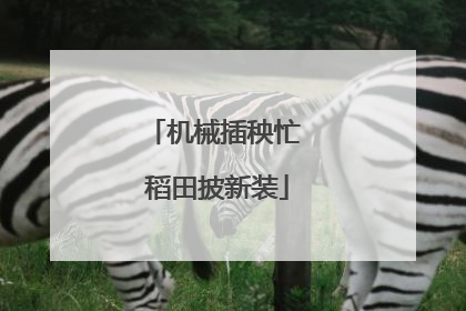 机械插秧忙 稻田披新装