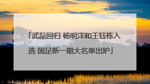 武磊回归 杨明洋和王钰栋入选 国足新一期大名单出炉