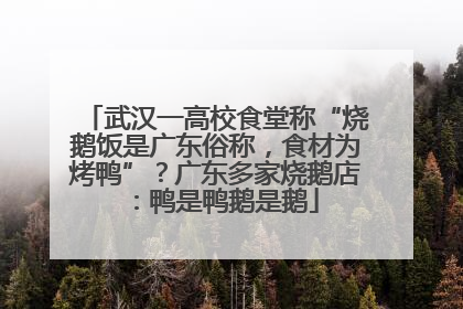 武汉一高校食堂称“烧鹅饭是广东俗称，食材为烤鸭”？广东多家烧鹅店：鸭是鸭鹅是鹅