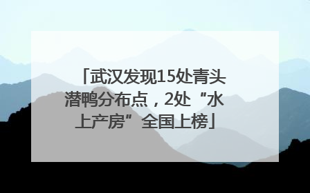 武汉发现15处青头潜鸭分布点，2处“水上产房”全国上榜