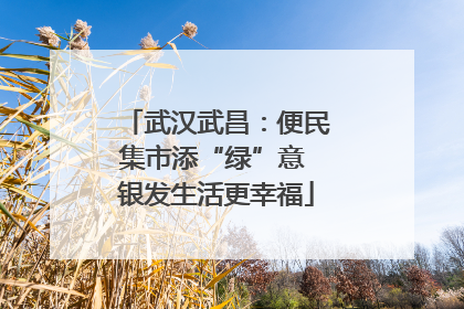 武汉武昌：便民集市添“绿”意 银发生活更幸福