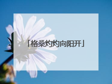 格桑灼灼向阳开