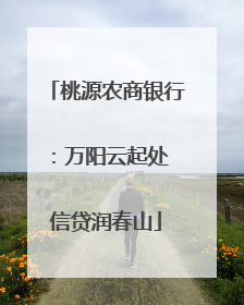 桃源农商银行：万阳云起处 信贷润春山
