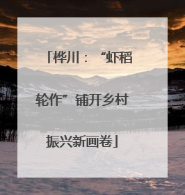 桦川：“虾稻轮作”铺开乡村振兴新画卷