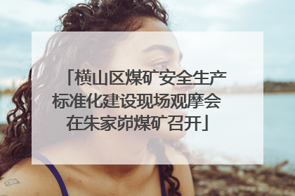 横山区煤矿安全生产标准化建设现场观摩会在朱家峁煤矿召开