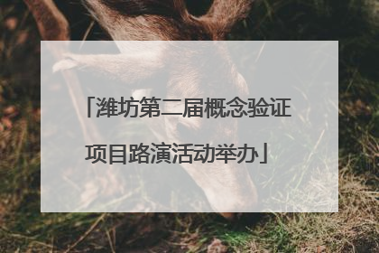 潍坊第二届概念验证项目路演活动举办