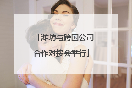 潍坊与跨国公司合作对接会举行