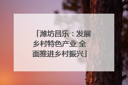 潍坊昌乐：发展乡村特色产业 全面推进乡村振兴