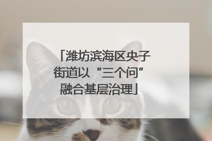 潍坊滨海区央子街道以“三个问”融合基层治理