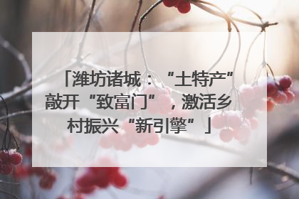 潍坊诸城：“土特产”敲开“致富门”，激活乡村振兴“新引擎”