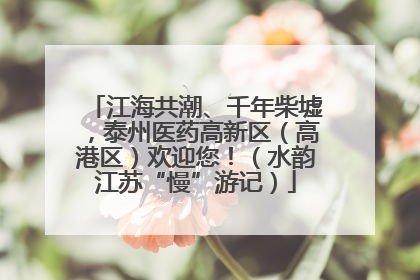 江海共潮、千年柴墟，泰州医药高新区（高港区）欢迎您！（水韵江苏“慢”游记）