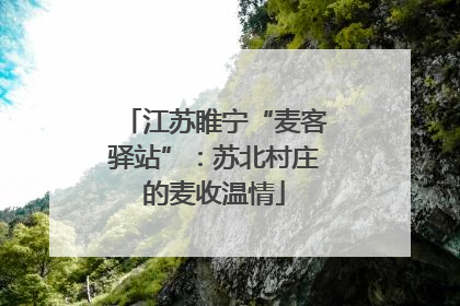 江苏睢宁“麦客驿站”：苏北村庄的麦收温情