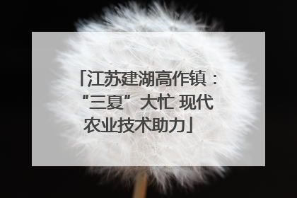 江苏建湖高作镇：“三夏”大忙 现代农业技术助力