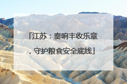 江苏：奏响丰收乐章，守护粮食安全底线