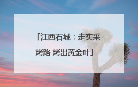 江西石城：走实采烤路 烤出黄金叶