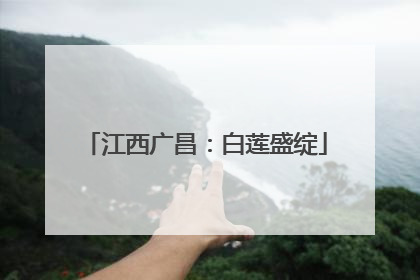江西广昌：白莲盛绽