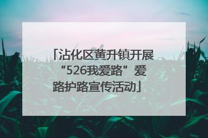 沾化区黄升镇开展“526我爱路”爱路护路宣传活动