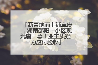 沥青地面上铺草皮，湖南邵阳一小区现荒唐一幕！业主质疑为应付验收