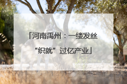 河南禹州：一缕发丝“织就”过亿产业