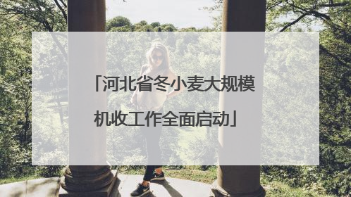 河北省冬小麦大规模机收工作全面启动