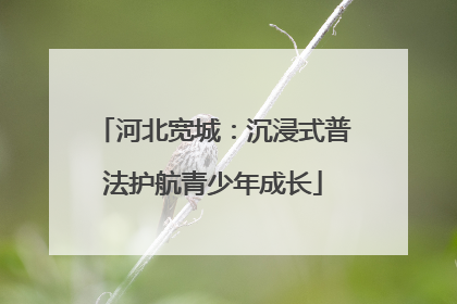 河北宽城：沉浸式普法护航青少年成长