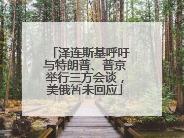 泽连斯基呼吁与特朗普、普京举行三方会谈，美俄暂未回应