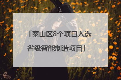泰山区8个项目入选省级智能制造项目