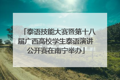 泰语技能大赛暨第十八届广西高校学生泰语演讲公开赛在南宁举办