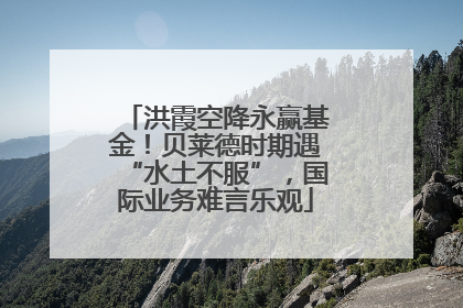 洪霞空降永赢基金！贝莱德时期遇“水土不服”，国际业务难言乐观