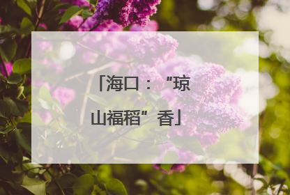海口：“琼山福稻”香