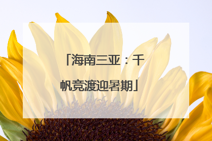 海南三亚：千帆竞渡迎暑期