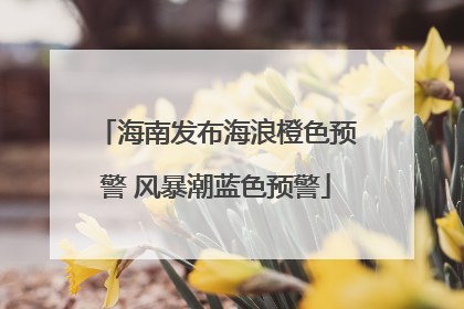 海南发布海浪橙色预警 风暴潮蓝色预警