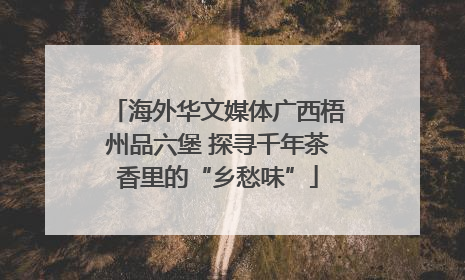 海外华文媒体广西梧州品六堡 探寻千年茶香里的“乡愁味”