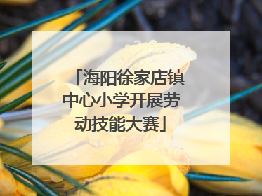 海阳徐家店镇中心小学开展劳动技能大赛