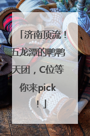 济南顶流！五龙潭的鸭鸭天团，C位等你来pick！