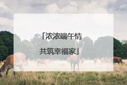 浓浓端午情 共筑幸福家
