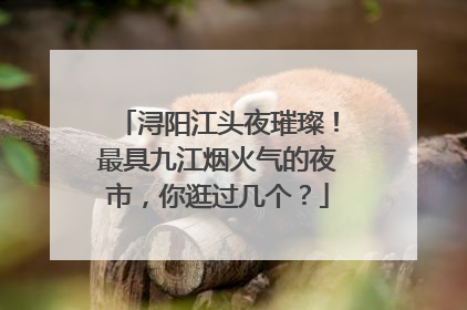 浔阳江头夜璀璨！最具九江烟火气的夜市，你逛过几个？