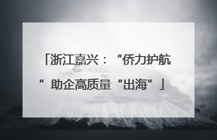 浙江嘉兴：“侨力护航”助企高质量“出海”