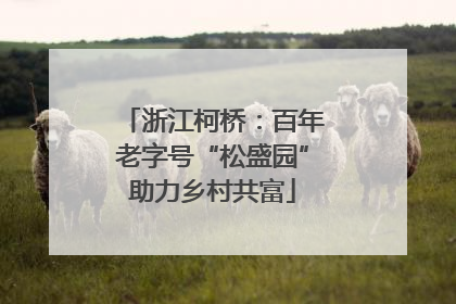 浙江柯桥：百年老字号“松盛园”助力乡村共富