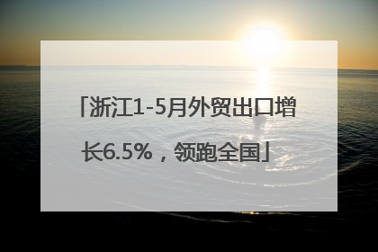 浙江1-5月外贸出口增长6.5%，领跑全国