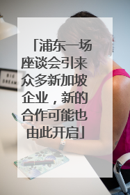 浦东一场座谈会引来众多新加坡企业，新的合作可能也由此开启