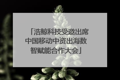 浩鲸科技受邀出席中国移动中资出海数智赋能合作大会